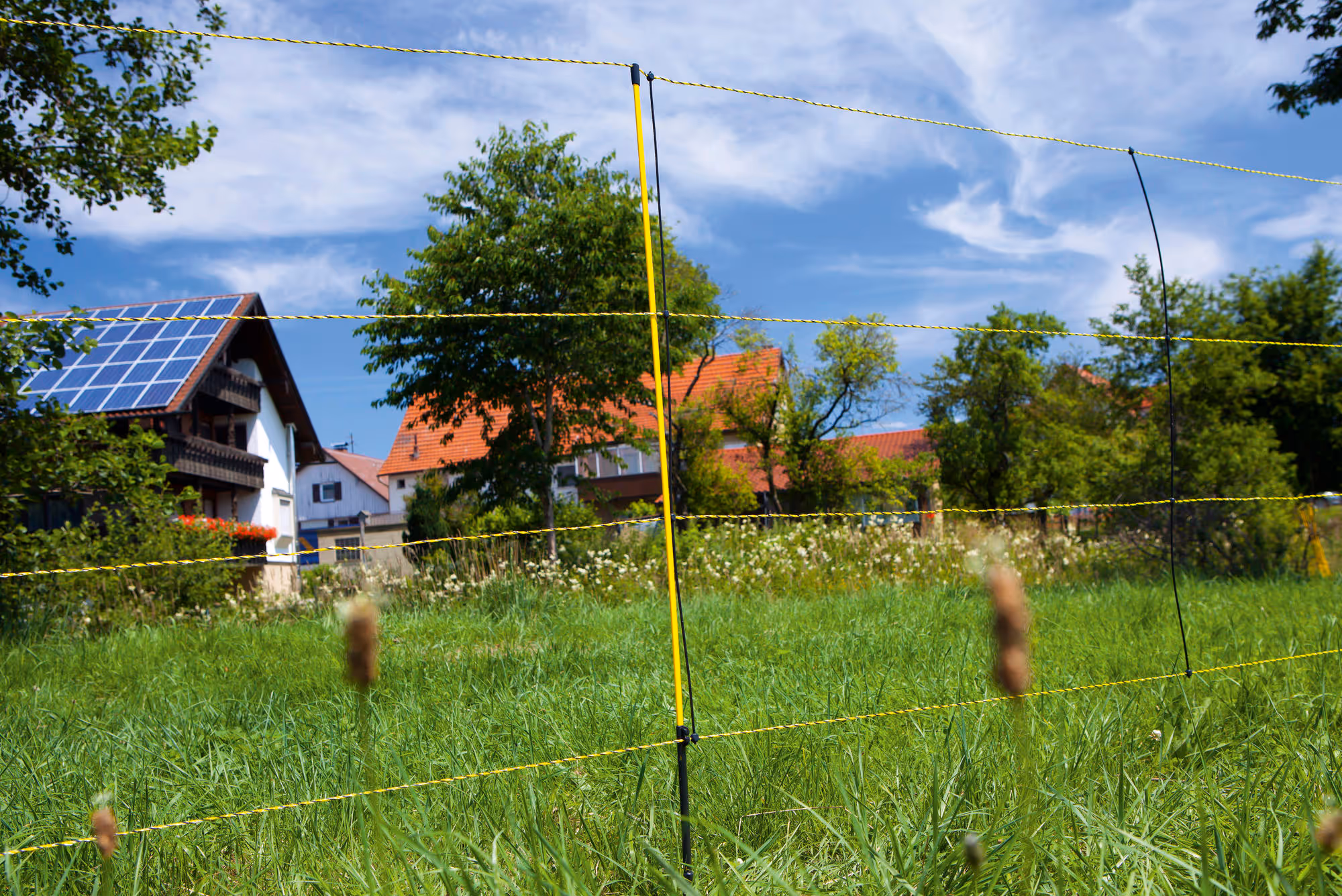 Filet cloture mouton EasyNet - 50mx105cm - Ako
