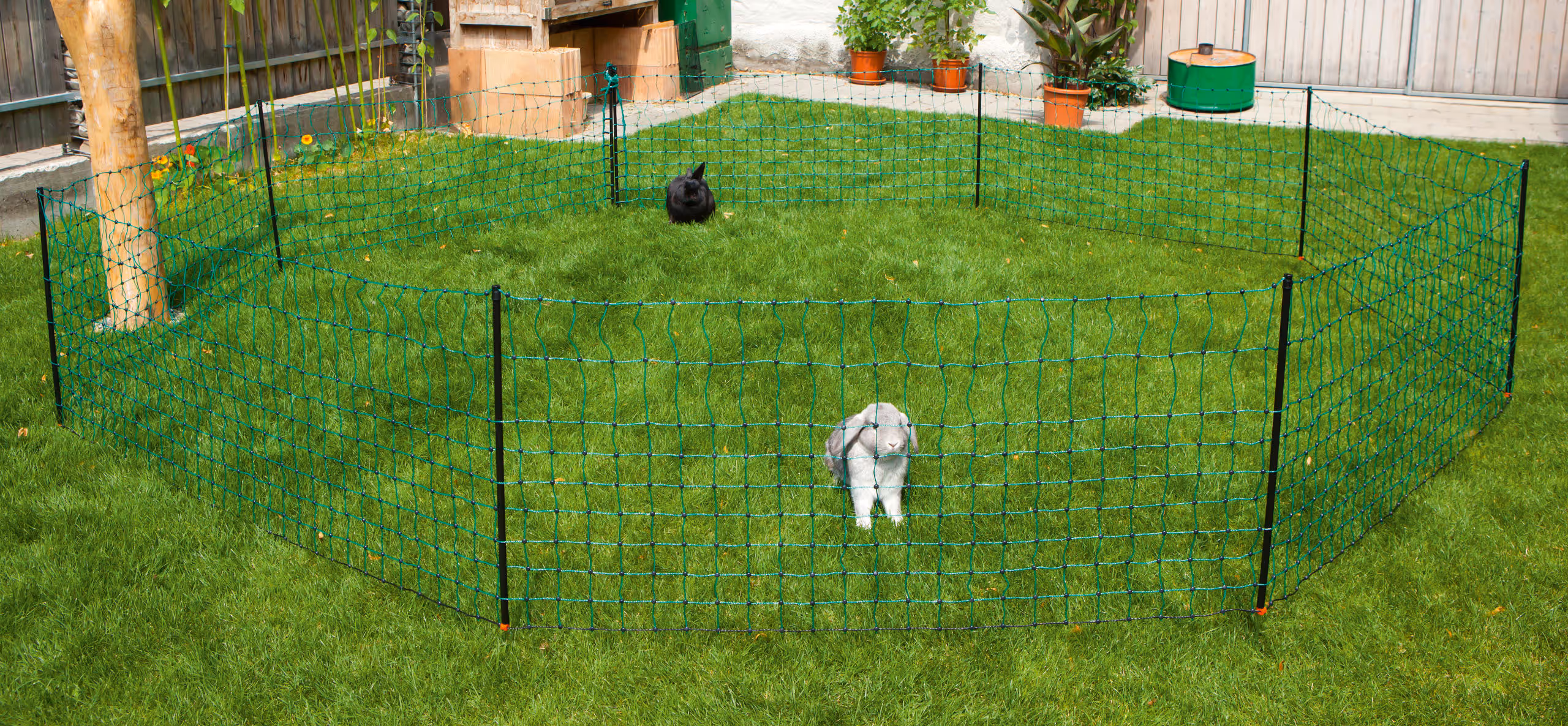 Filet lapin 65 cm, double pointe, vert, 50 m