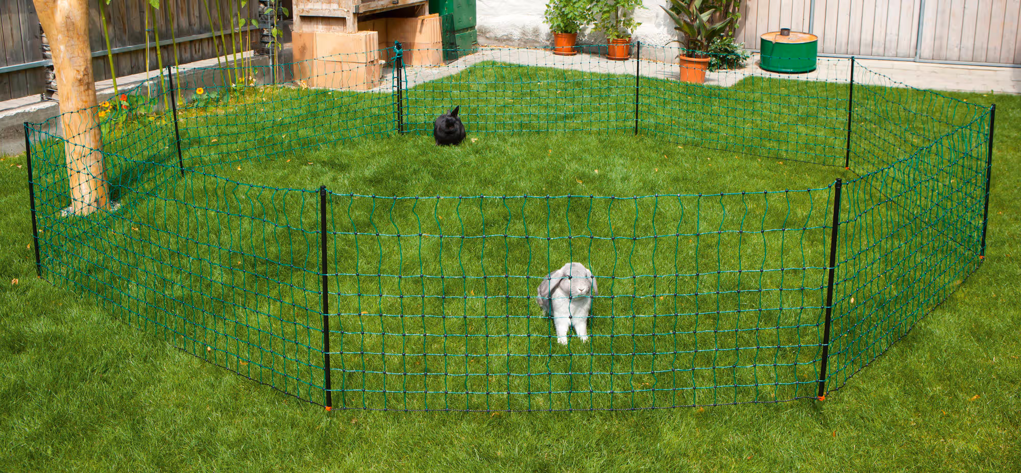 Filet lapin 65 cm, simple pointe, vert, 50 m