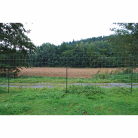 Filet loup 170 cm 25m