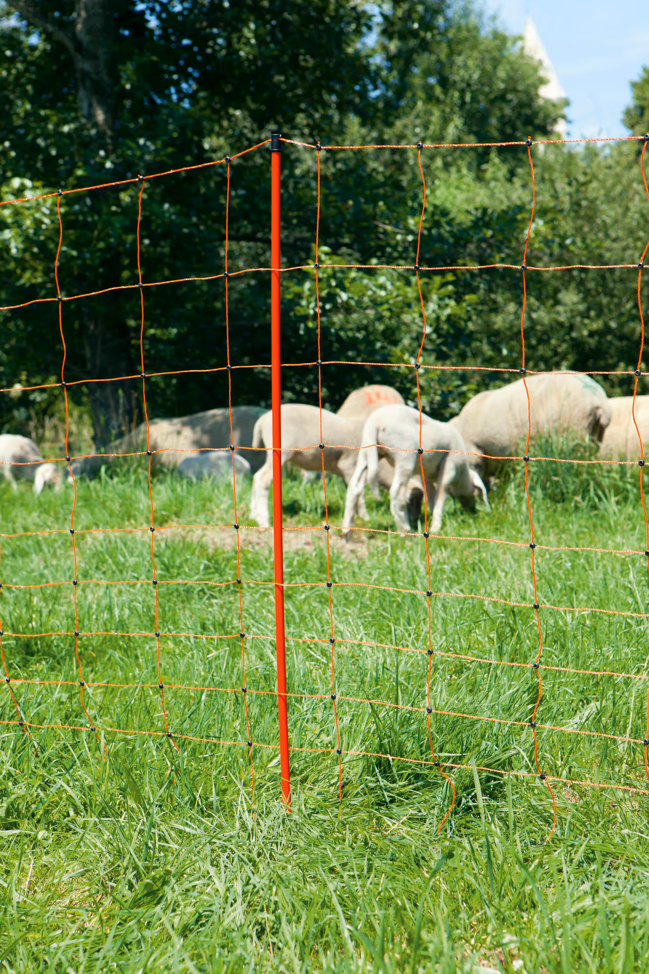 Filet mouton Ovinet 108cm, 1 pointe, orange, 50m