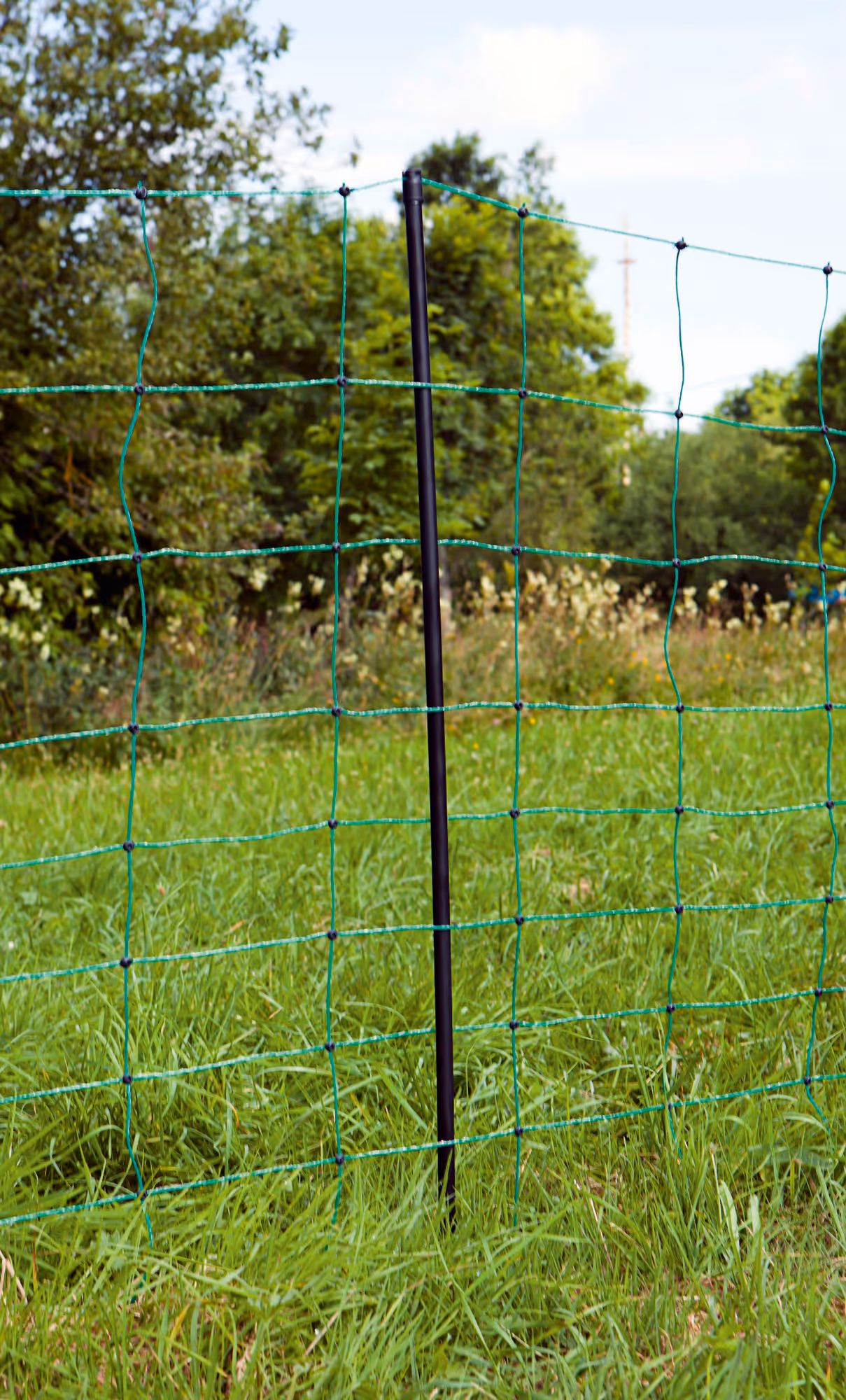 Filet mouton Ovinet 90 cm, double pointe, vert, 50 m