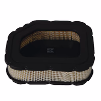 Filtre à air Kohler