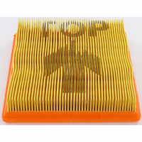 Filtre à air Lombardini