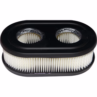 Filtre a air origine briggs & stratton