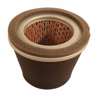 Filtre à air p/Robin/Wisconsin