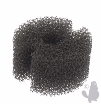 FILTRE A AIR ->PL