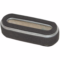 Filtre a air  pour kubota t150 (12101-1121)