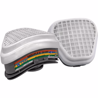 Filtre abek1p3 pour demimasque elipse abek1p3 la paire