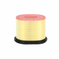 FILTRE À AIR, PRIMAIRE POWERCORE OBLONG P953554 - Donaldson