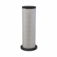 FILTRE À AIR, RADIALSEAL DE SÉCURITÉ P617644 - Donaldson