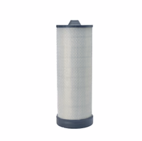 FILTRE À AIR, RADIALSEAL DE SÉCURITÉ P618690 - Donaldson