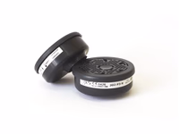 Filtre BLS 202 - P3 - Vendu par 2