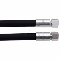 Flexible hydraulique PSN208 Droit - Droit 10L (M16x1.5) L500 mm