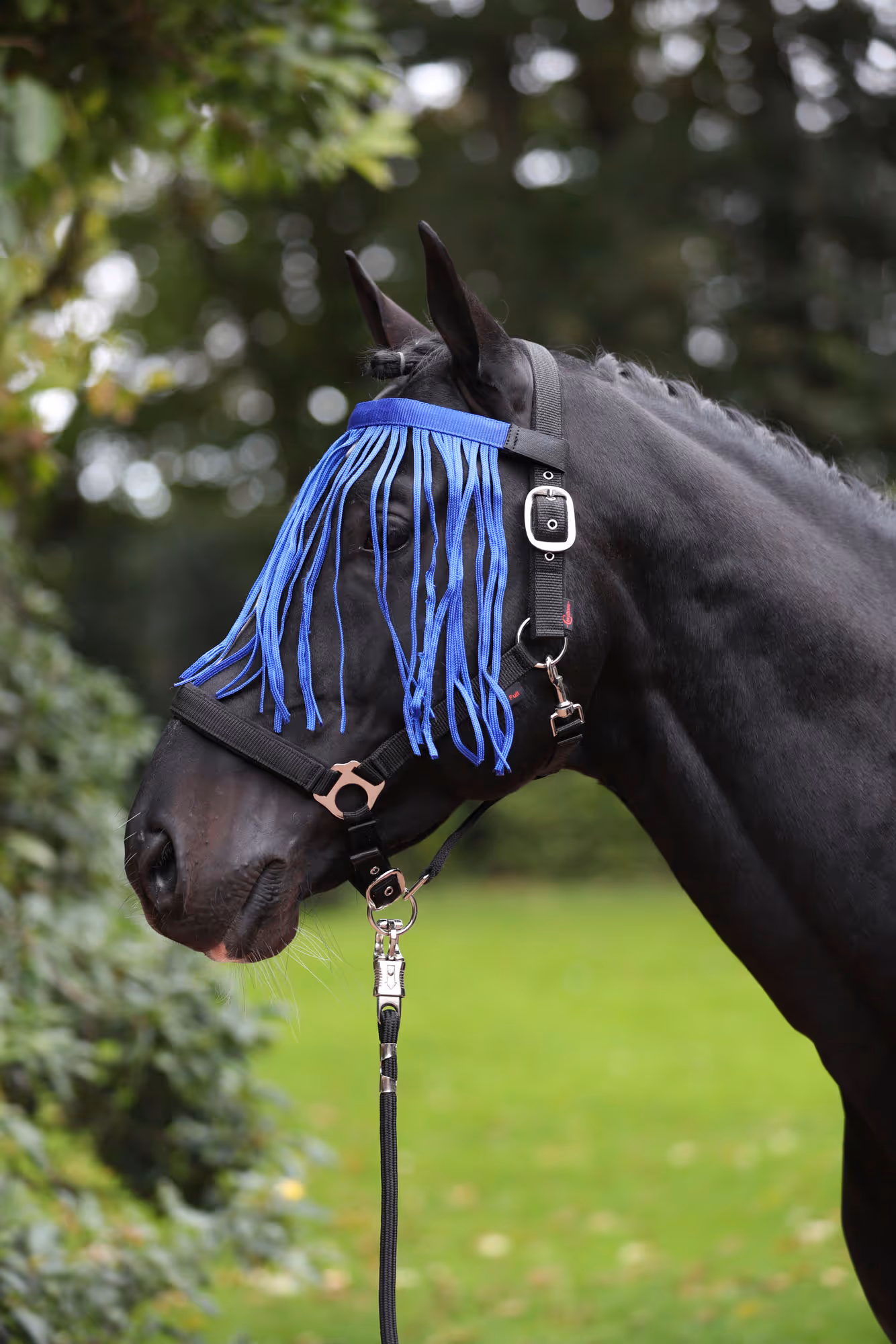 Frontal anti-mouche marine, pony