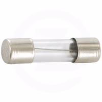 Fusible 5 x 20 10 amp.