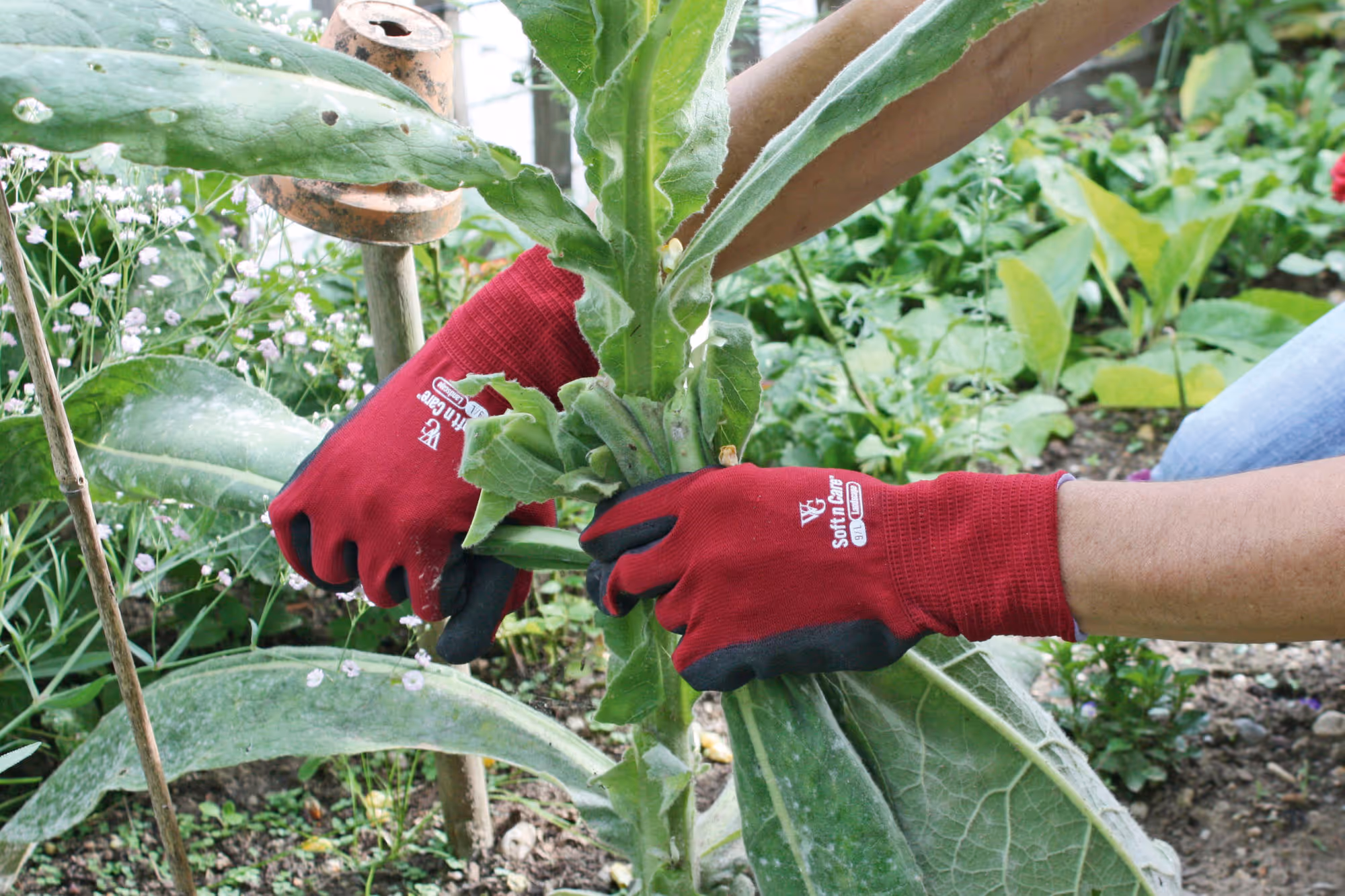 Gant de jardinage Soft'N'Care Landscape T. 7, rouge