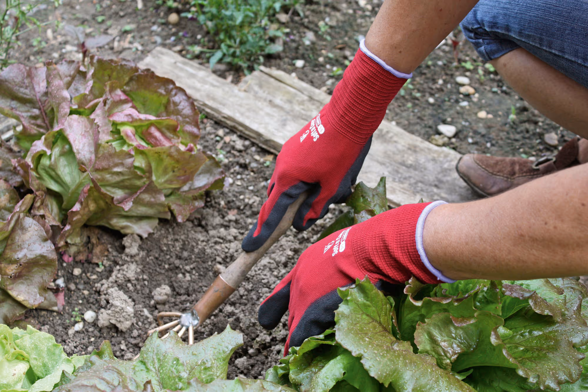 Gant de jardinage Soft'N'Care Landscape T. 7, rouge