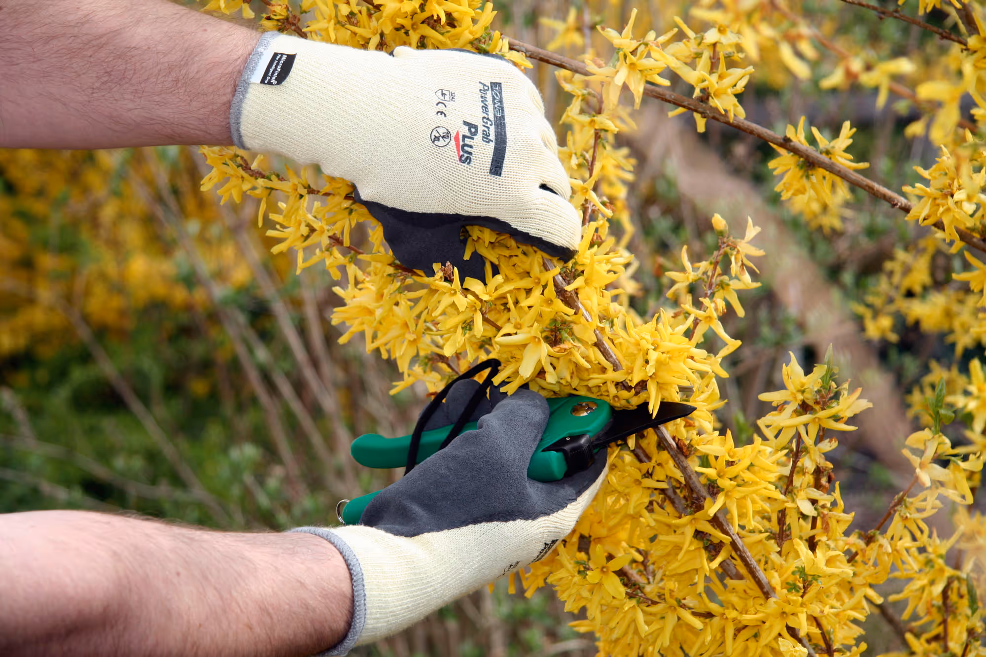 Gant PowerGrab Plus T. 7