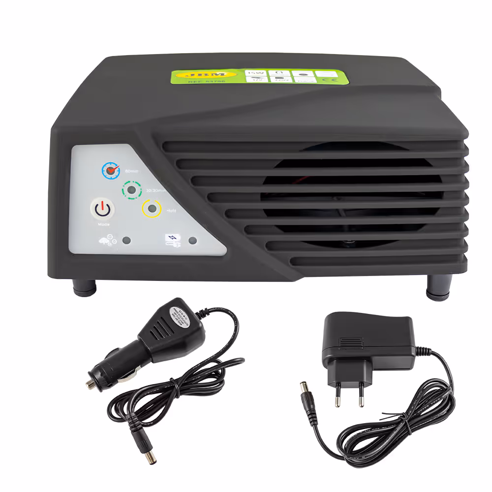 Générateur d'ozone portable 600 mg/h (12v/220v)