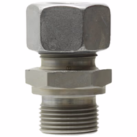 GER 8 L 3/8  Raccord droit BSP, à visser