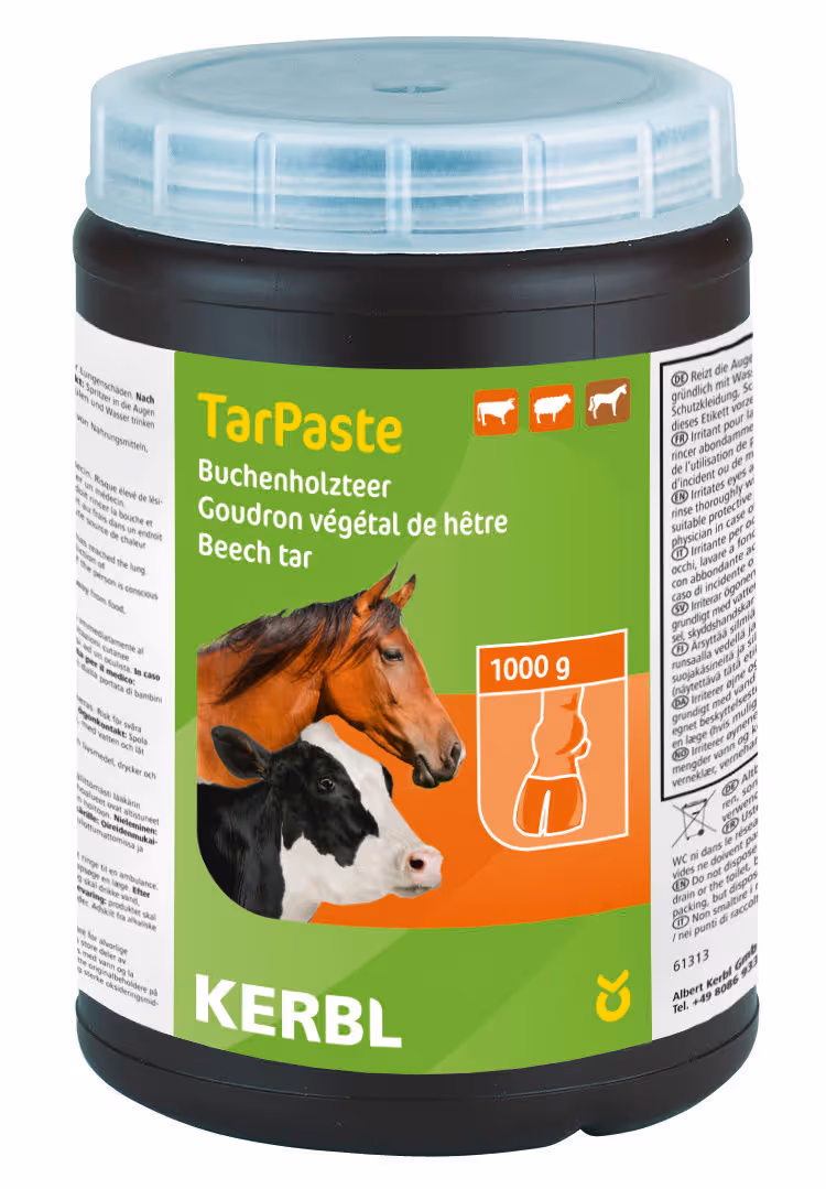 Goudron de hêtre Tarpaste 1kg