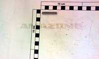 GOUPILLE 05X36 8752 - AMAZONE - REF DI032