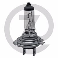 Ampoule halogène H7 - 24V / 70W