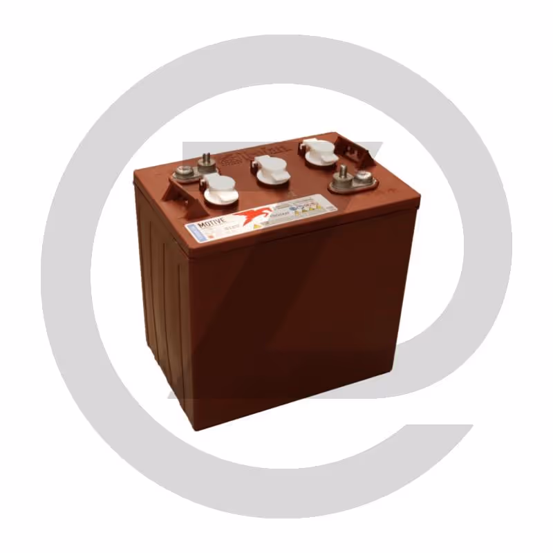 Batterie DeepCycle 6 V 225 Ah