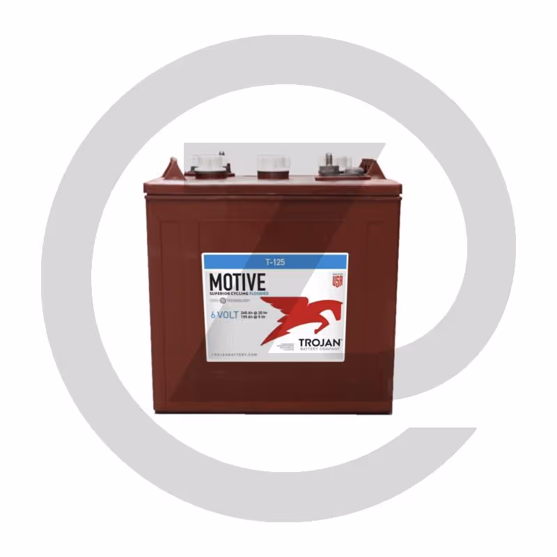 Batterie DeepCycle 6 V 240 Ah