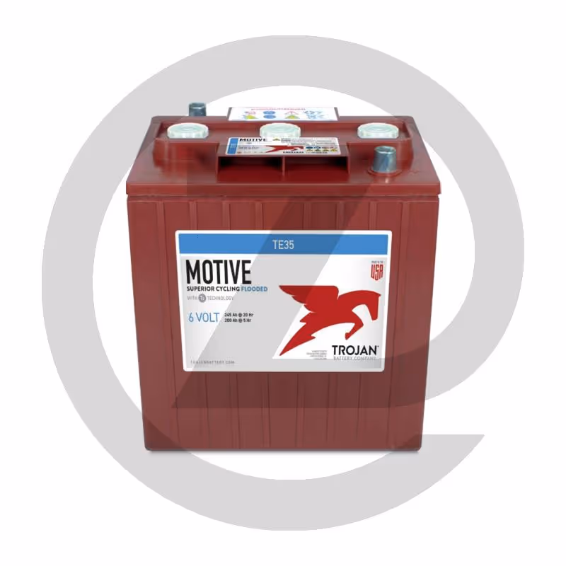 Batterie DeepCycle 6 V 245 Ah