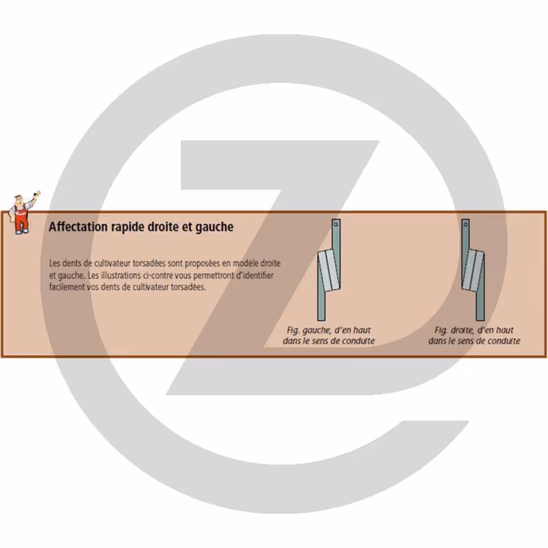 Dent de cultivateur - gauche