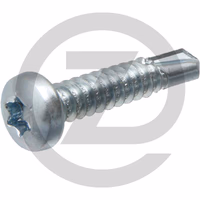 DIN 7504 N 4,8 x 16 -T25 VZ, vendues par 1000