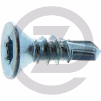 DIN 7504 P 5,5 x 50 -T25 VZ, vendues par 250