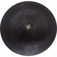 Disque bombé - lisse, 810 x 10 mm