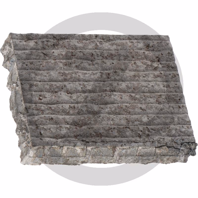 Heavy Duty Plaque d'usure
