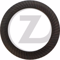 Heavy Duty Rondelle autobloquante - DIN N0110, S20