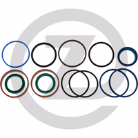 Jeu de joints de vérin