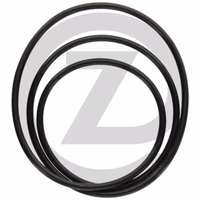 Joint torique - 221,84 x 3,53 mm - piston