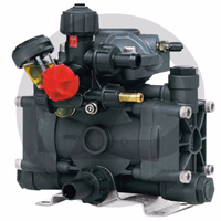 Pompe à pistons/membranes - AR 202 SP/VRI