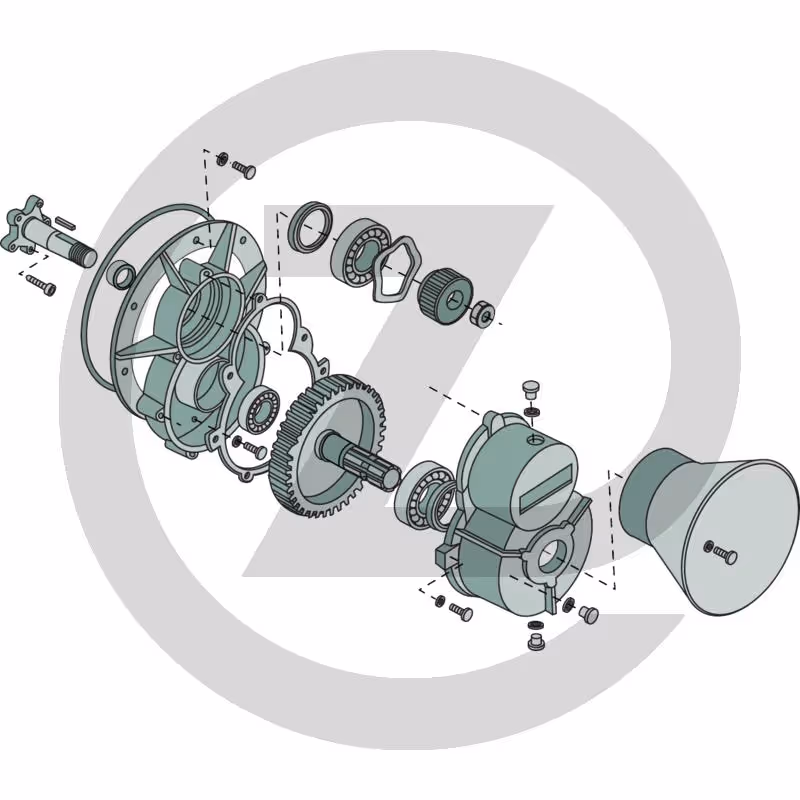 Roue dentée