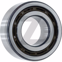 Roulement à contact oblique 3201