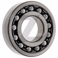 Roulement à rotules sur rouleaux 1304