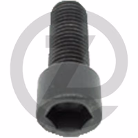 Vis 6 pans - M16 x 2 x 40 mm, 10.9