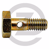 Vis creuse simple pour banjo