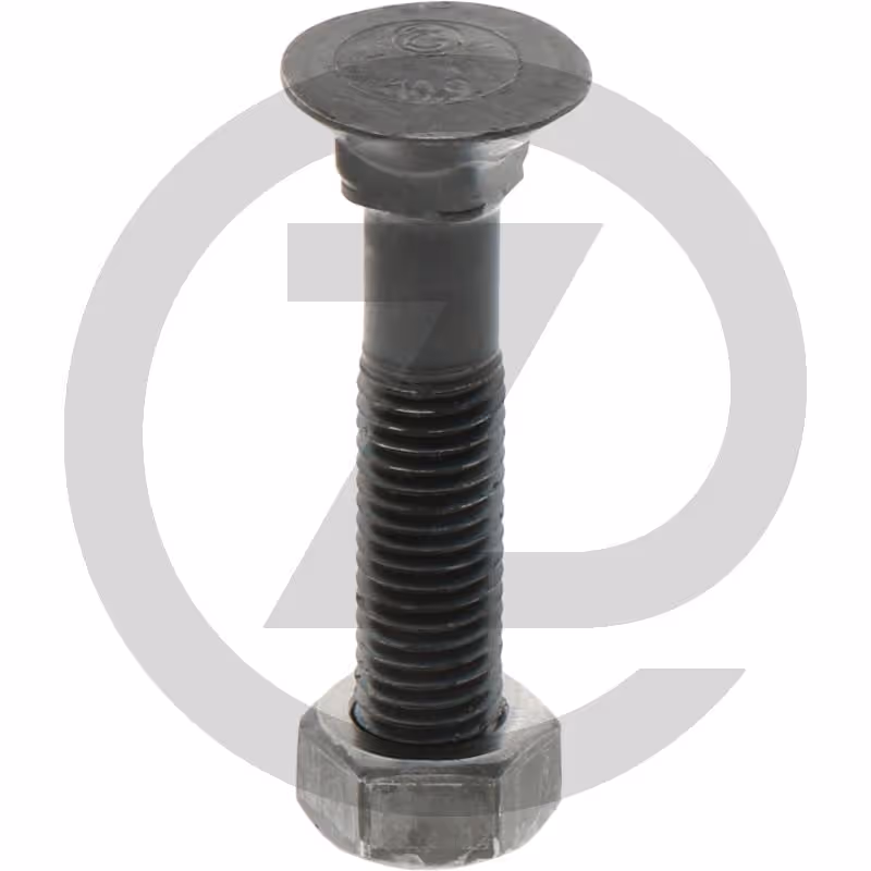 Vis - M16 x 50 mm