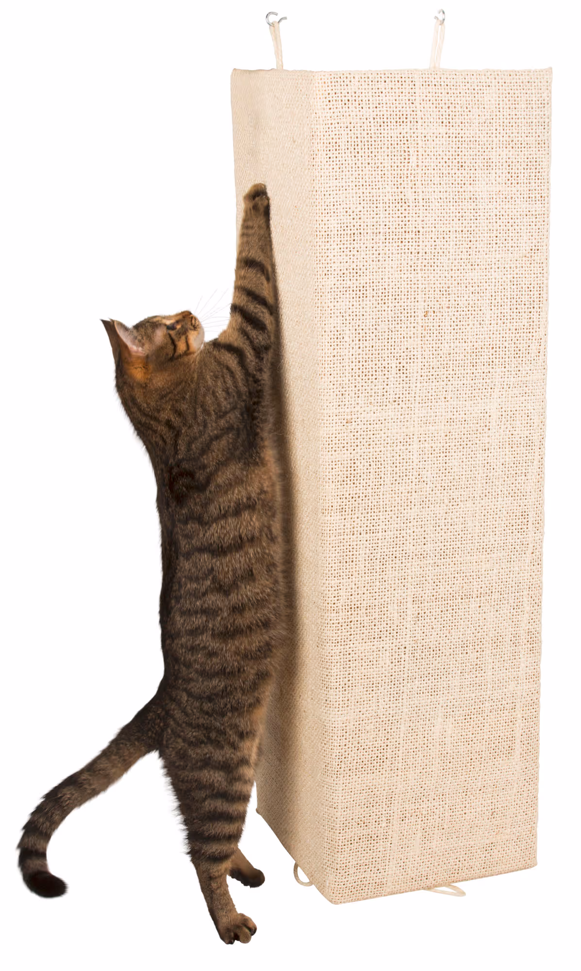 Griffoir Kevin beige, 100X56cm
