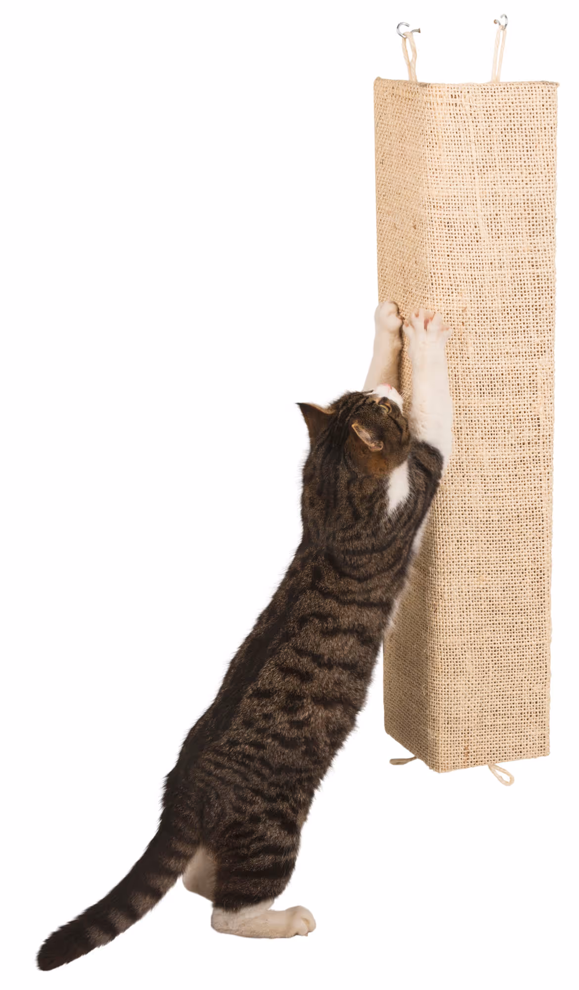 Griffoir Kevin beige, 80X28cm