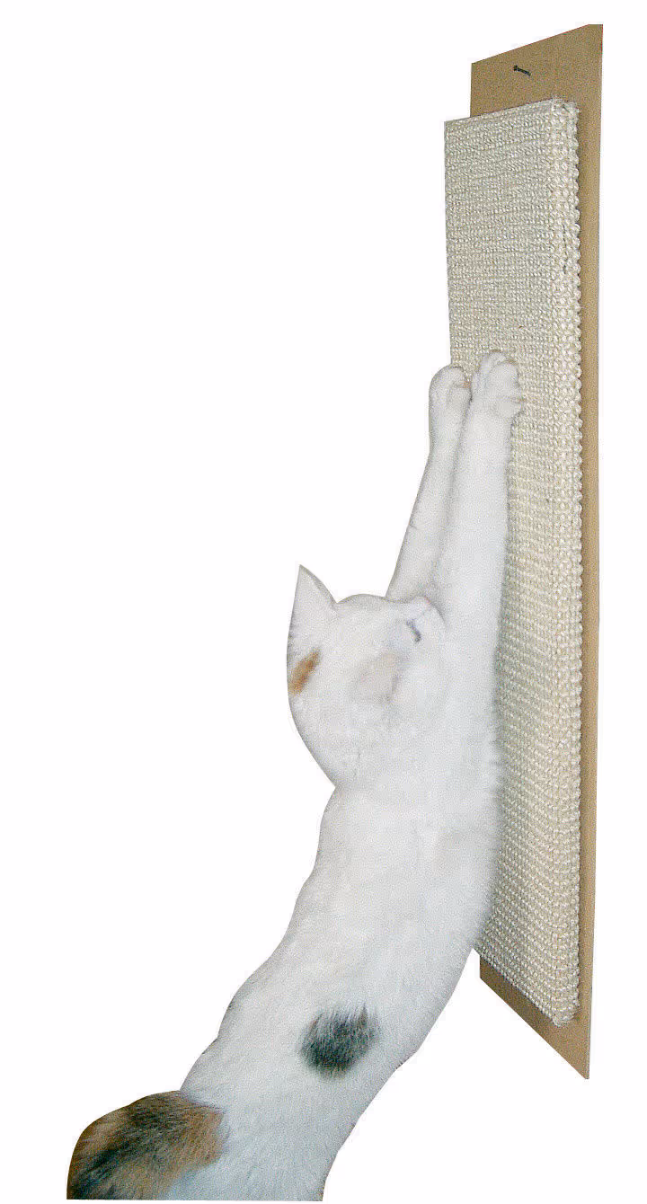 Griffoir Maxi beige, 70X17cm