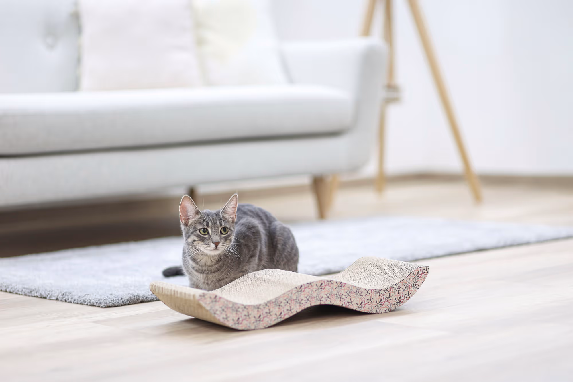 Griffoir pour chat Browse 45X18,5X8,5cm, avec CatNip